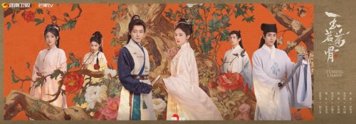 《玉茗茶骨》:茶文化IP的当代融合