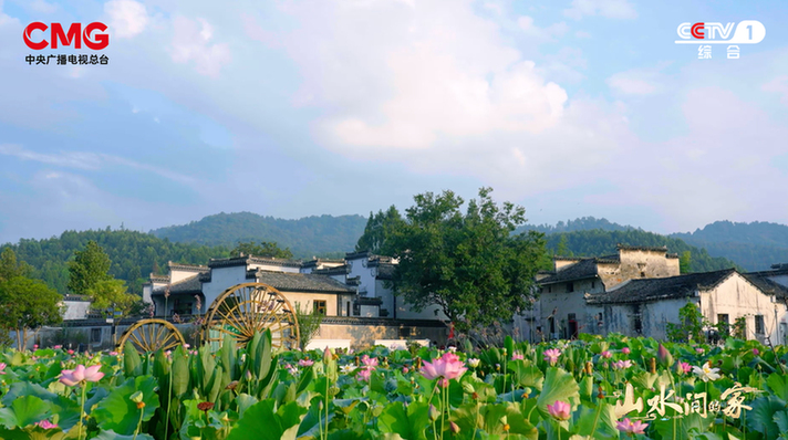 沉浸式打卡江南水乡 《山水间的家》邂逅新时代乡村的诗与远方