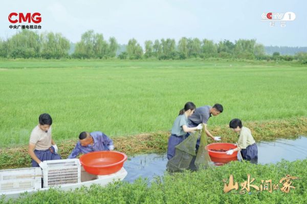 一水多用，一田多收，《山水间的家》探寻家门口的“致富经”