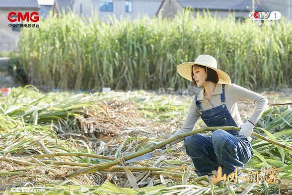 从现代版《富春山居图》到“山乡巨变第一村”，《山水间的家》见证乡村振兴中的文化力量