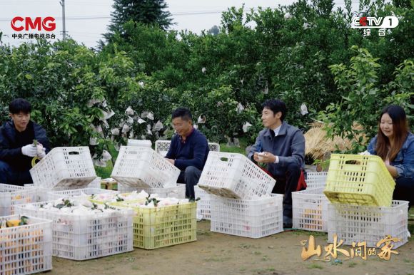 “新老村民”携手谱写田园牧歌，《山水间的家》走进新时代“桃花源”