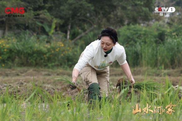 “新老村民”携手谱写田园牧歌，《山水间的家》走进新时代“桃花源”