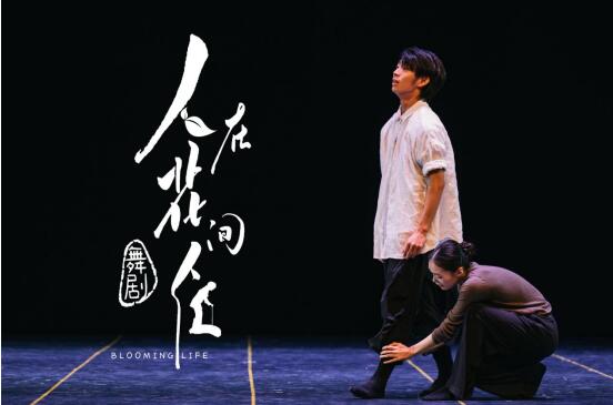 舞剧《人在花间住》：以花为契书写母子心语，以情为基演绎岭南生活