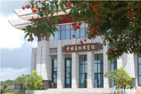 当一个年轻人决定回到荔乡，与1500年前的“偶像”成为合伙人