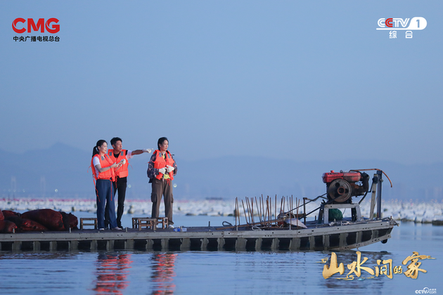 从“海峡第一村”到“储良龙眼故乡”，《山水间的家》开启美味之旅